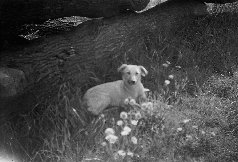 19430000c GUCC Grand Union Canal by Barge Captain CHRISTIAN VLASTO (m. Abbas) 09.jpg